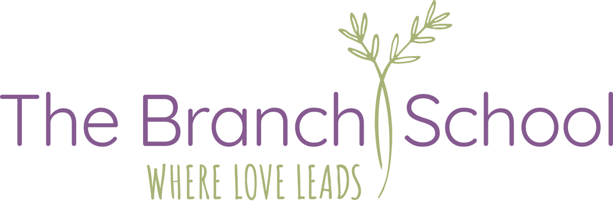 The Branch School Inc logo